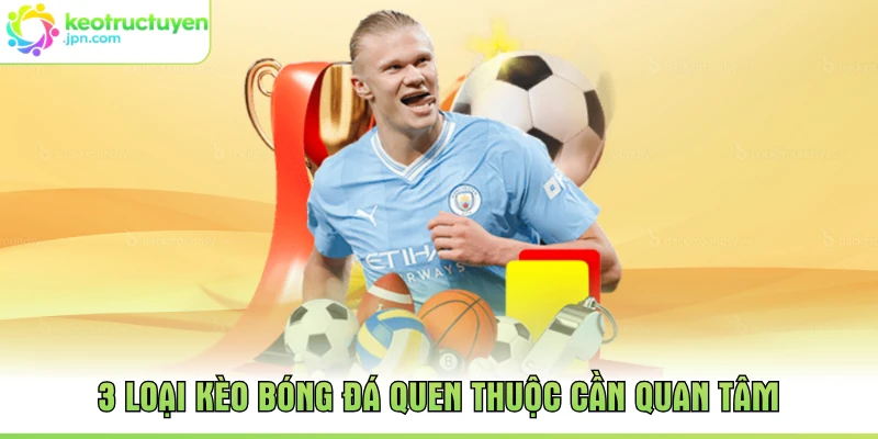 3 loại kèo bóng đá quen thuộc cần quan tâm