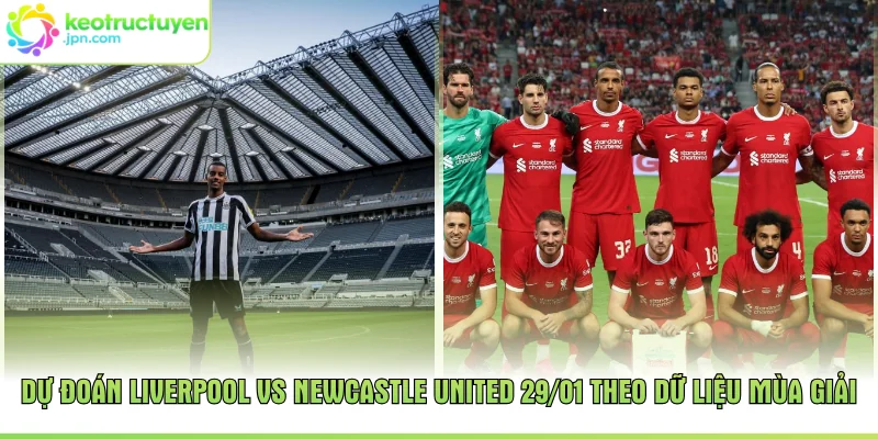 Dự đoán Liverpool vs Newcastle United 29/01 theo dữ liệu mùa giải