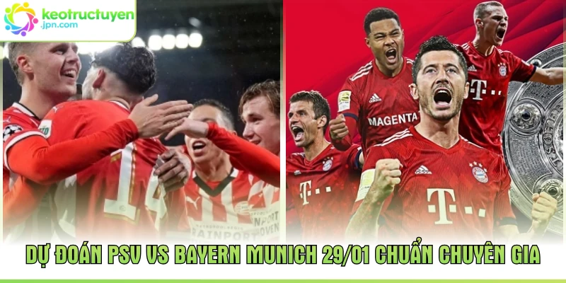 Dự Đoán PSV Vs Bayern Munich 29/01 Chuẩn Chuyên Gia