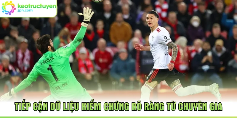 Tiếp cận dữ liệu kiểm chứng rõ ràng từ chuyên gia